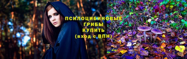 амф Абинск