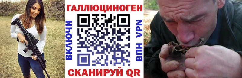 Галлюциногенные грибы MAGIC MUSHROOMS купить закладку kraken ссылки Заводоуковск